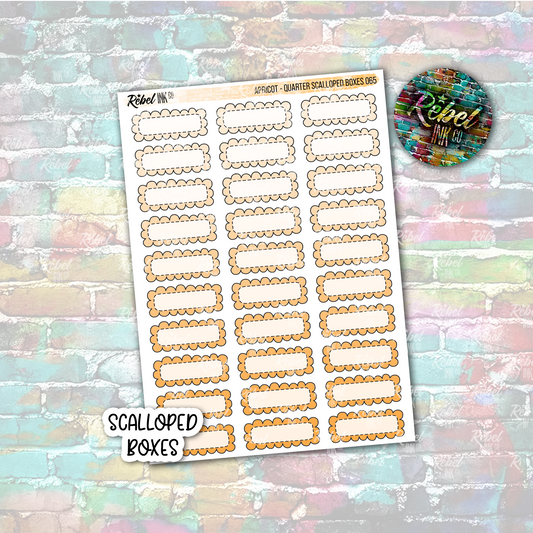 Apricot - Scalloped Quarter Boxes