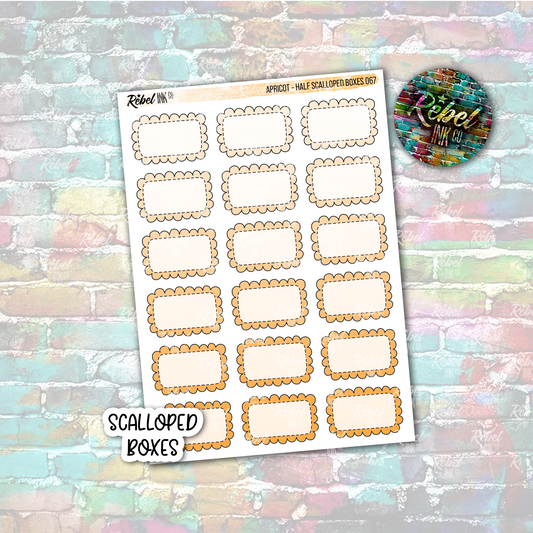 Apricot - Scalloped Half Boxes