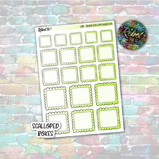 Lime - Scalloped Square Boxes