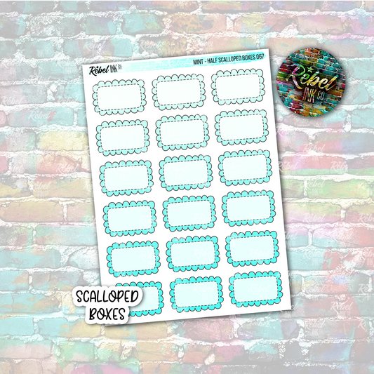 Mint - Scalloped Half Boxes